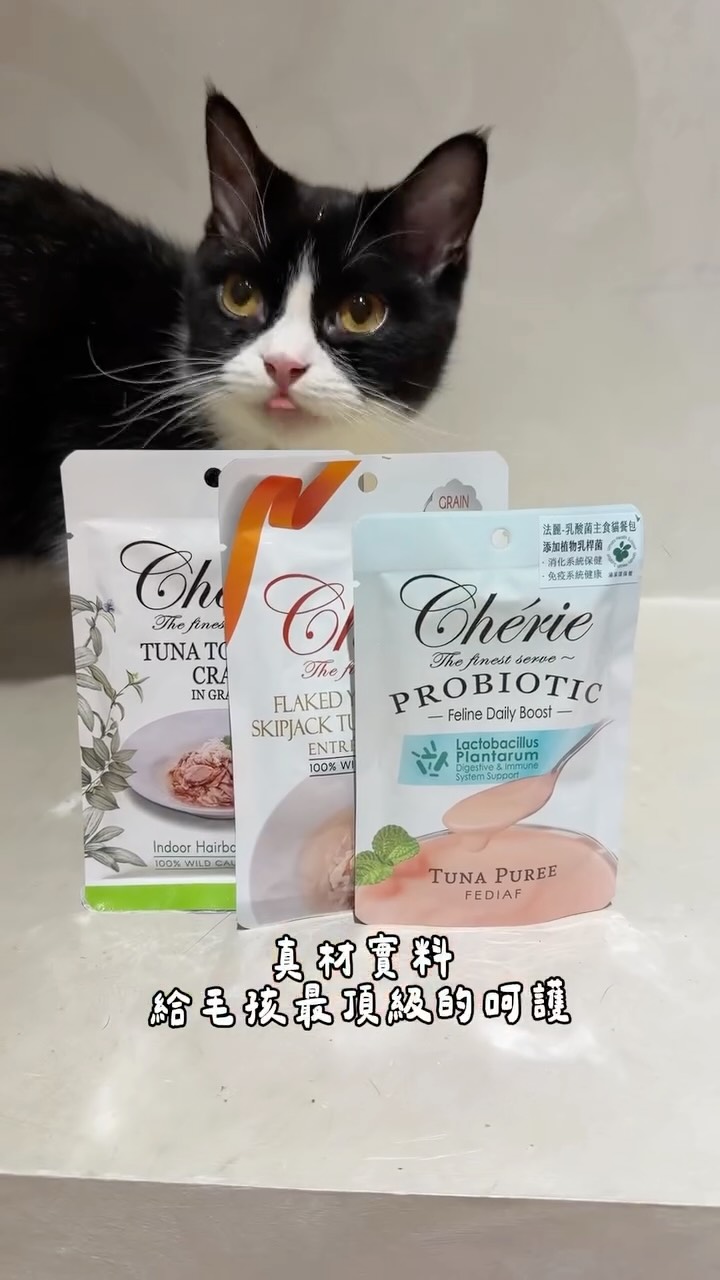 .
家有挑嘴貓❗️
🏆法麗 Cherie 3 大明星產品
從食材品質到口感誘食力都讓人驚豔,一次解決挑嘴、補水與日常保健!
✨ 法麗 Cherie 食物三大亮點細節:
1️⃣ 乳酸菌主食貓餐包
🥄綿滑細緻質地:極致滑順的肉泥感,好舔食、好消化,連幼貓老貓都能輕鬆享用
💯美味主食級配方:符合 FEDIAF 雙重營養標準,美味點心感卻有完整主食營養
👍🏻專利好菌添加:融入植物乳桿菌,讓補充腸道保健變成每天毛孩最期待的點心時間!
2️⃣ 招牌微湯汁餐包
🌿純粹無添加:100% 嚴選真肉,絕無人工香料、色素與防腐劑
💦鮮美濃郁肉汁:精燉出高湯精華,極致誘食力讓不愛喝水的貓咪也大口喝光
🥩40g 新鮮微份量:餐餐都是最佳賞味期,新鮮零負擔、絕不重複冰冰箱
3️⃣ 微湯汁室內貓排毛餐包
🐟真材實料看得見:嚴選大塊原片鮪魚與鮮肉,保留完整肉質纖維與天然鮮香
🥣招牌微湯汁包裹:溫潤微湯汁完美鎖住肉香,每一口都吃得到扎實肉塊與鮮甜高湯
🐱天然溫和排毛:添加天然植物纖維,透過美味餐包溫和促進腸道蠕動、順暢吐毛球
美味、營養與機能一次到位
爸媽們趕緊手刀幫毛孩補貨吧
🛒
9/1-9/30 加入派派官網會員,購買招牌微湯汁餐包/微湯汁室內貓排毛餐包兩系列滿$499就送購物金$100,現在買最划算! 購物金要10/31前使用完畢呦!
@cheriepetfood
#法麗 #Cherie #貓咪排毛 縮圖
