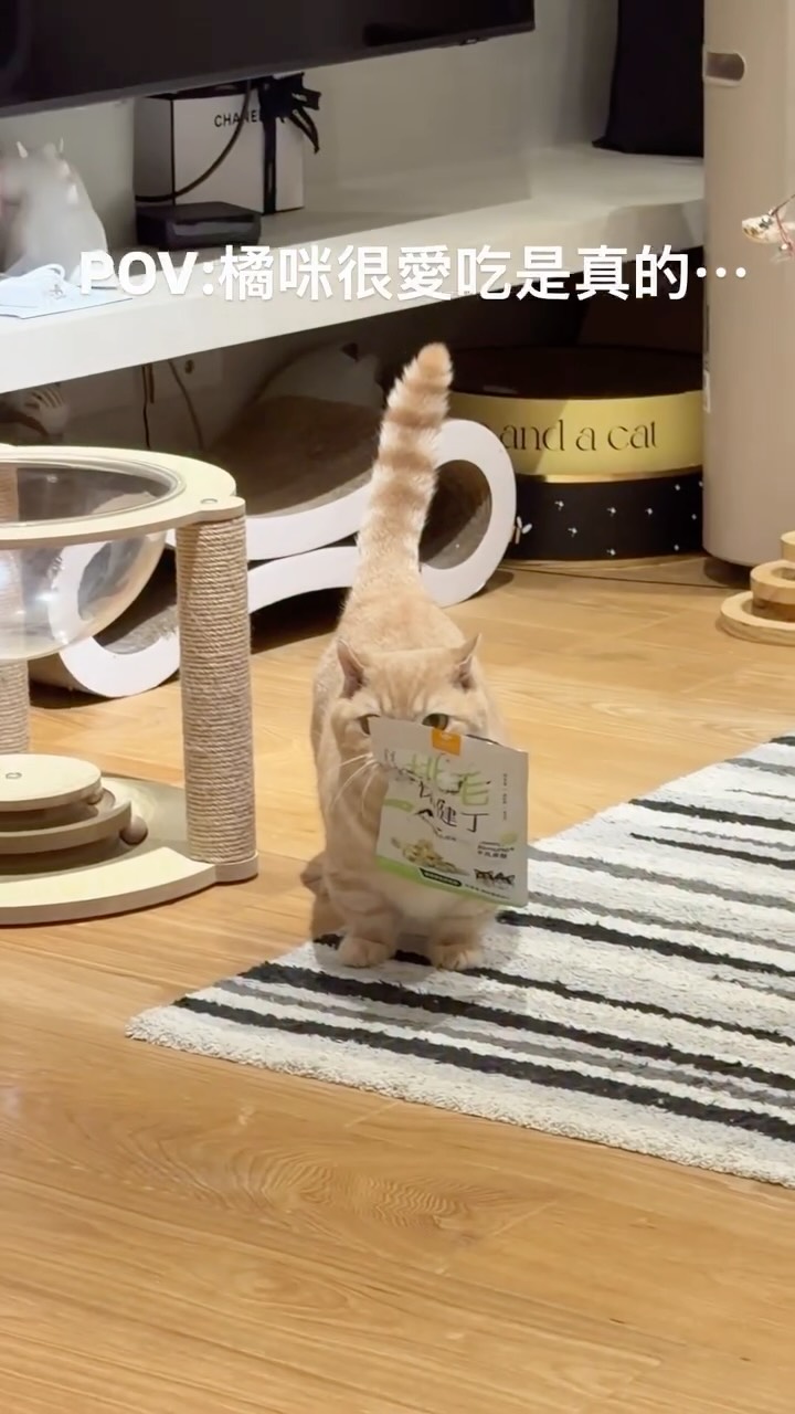 .
家裡最愛吃的咪🐱
#貓 #cat #cats #catlife #catlovers 縮圖