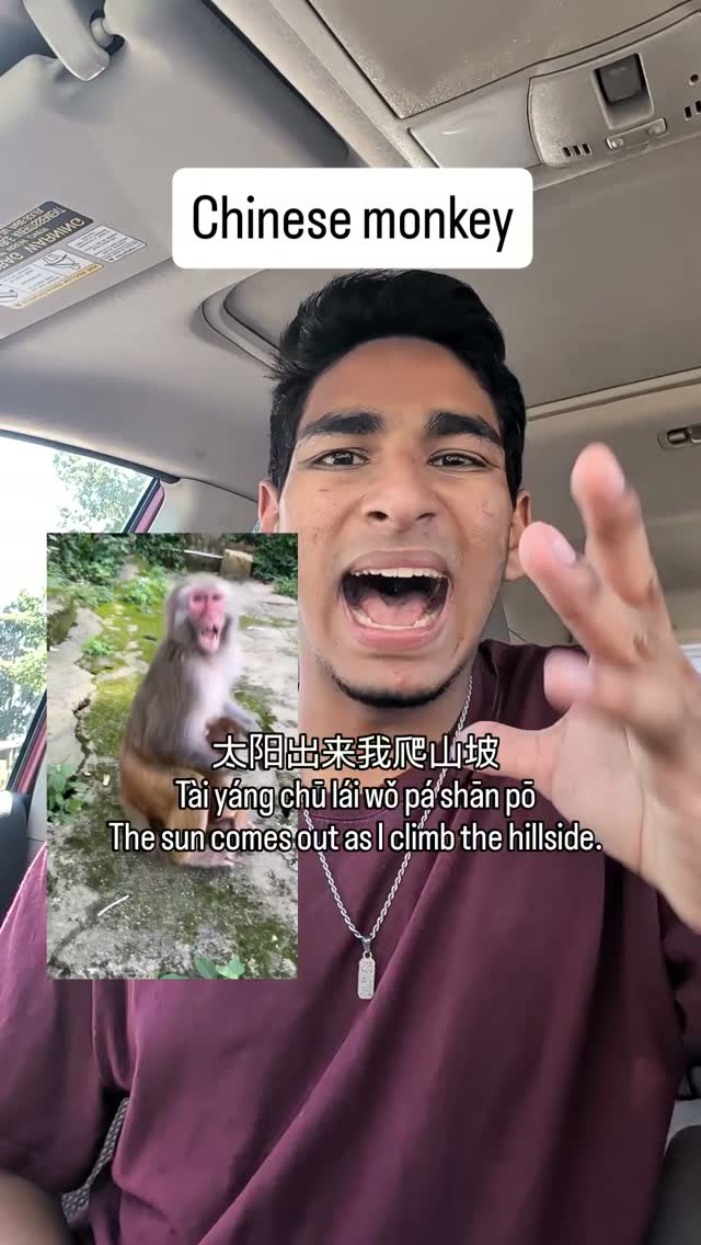 Monkey is impressed 
#chinese #fyp #chineselanguagelearning #中文 #funny 縮圖