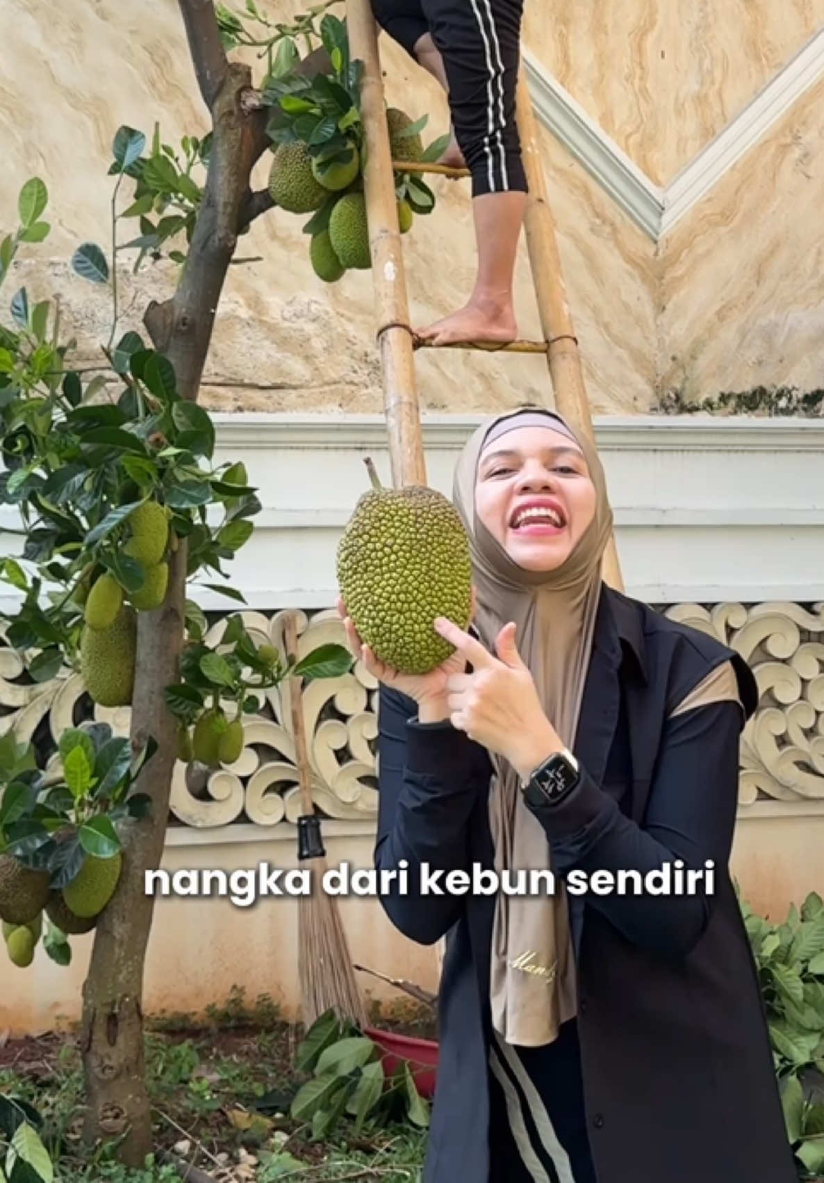 excited manjat dan metik nangka dr kebon belakang rumah 😆 縮圖