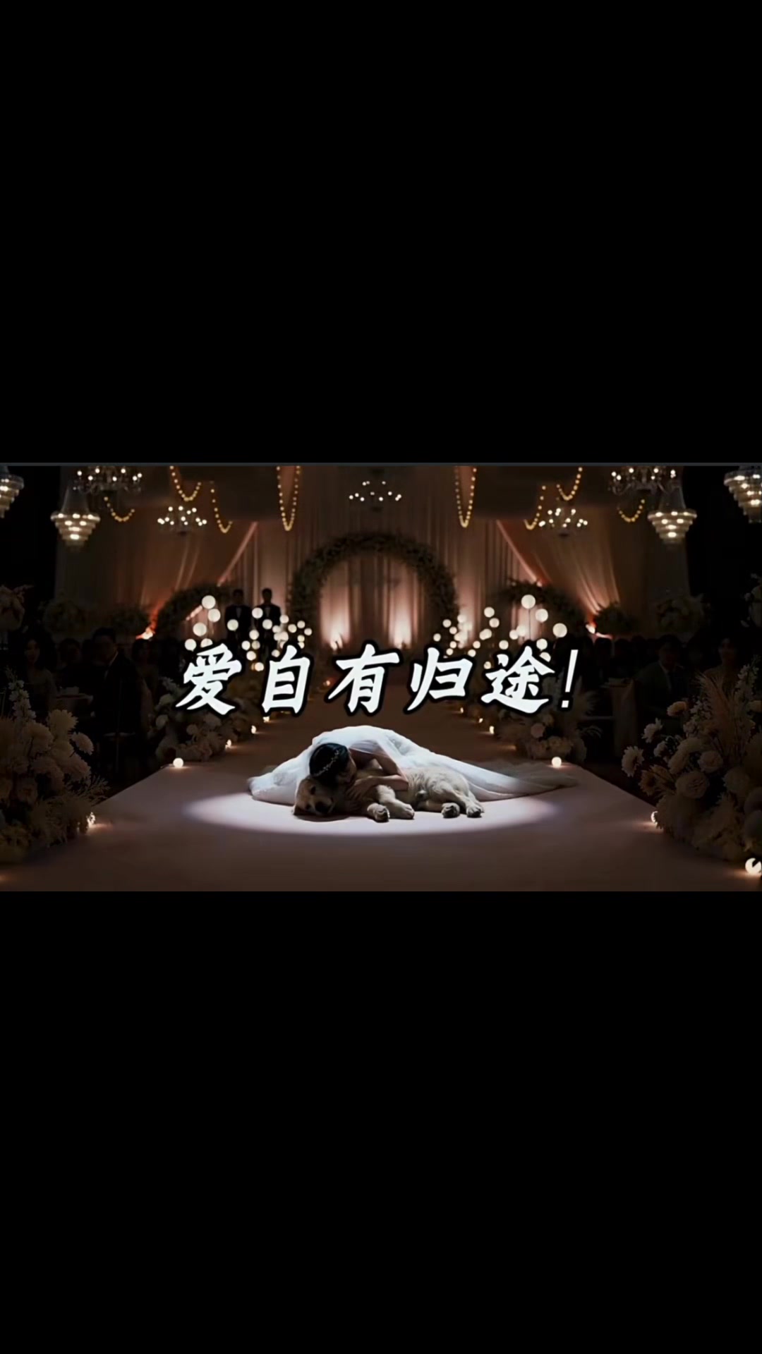 #fyp #hot #tiktok #mood #funnyvideos 縮圖