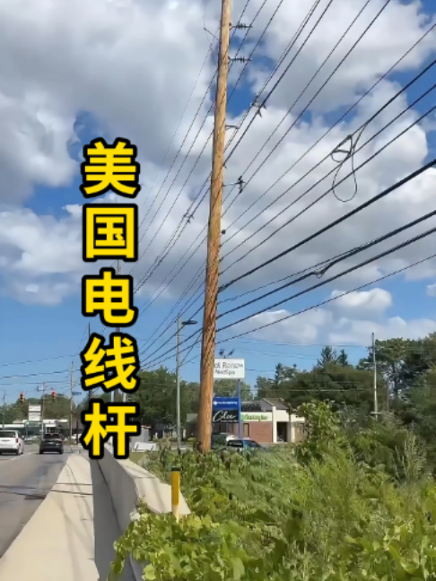 为什么美国的电线杆，很多都是木头的？#科普 縮圖