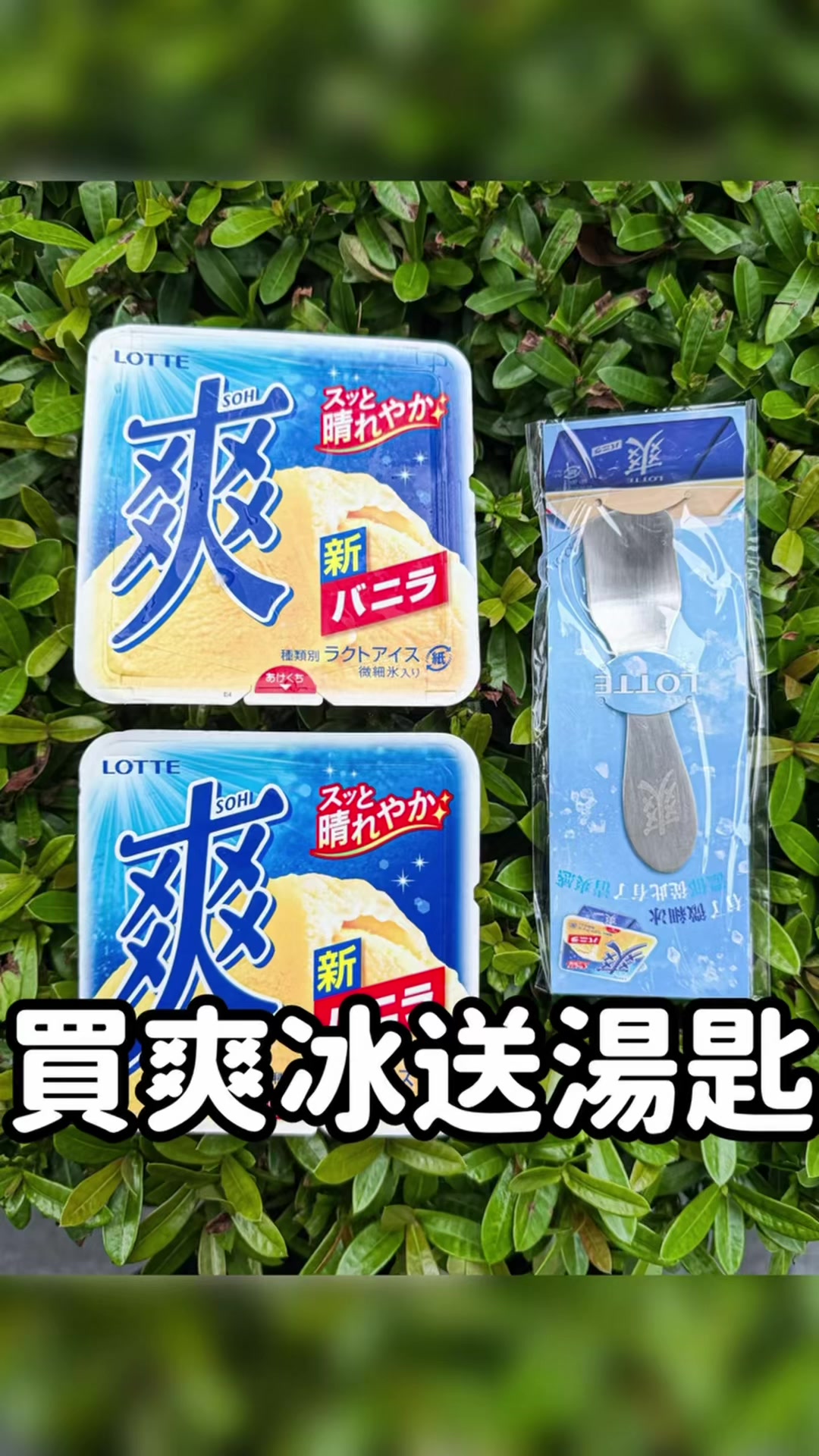 買爽冰竟然送「專屬不鏽鋼湯匙」🥄✨ 終於可以徹底擺脫吃冰的木棍味了! 7-11 限時好康,買 LOTTE 爽冰系列享第 2 件 6 折 買兩件直接加送一支質感不鏽鋼匙。 ⭐️每家店配額超少、送完為止⭐️ 🏷️討厭木棍味的人快衝~🏃💨 #超商美食 #台中美食 #台北美食 #超商新品 #冰淇淋 縮圖