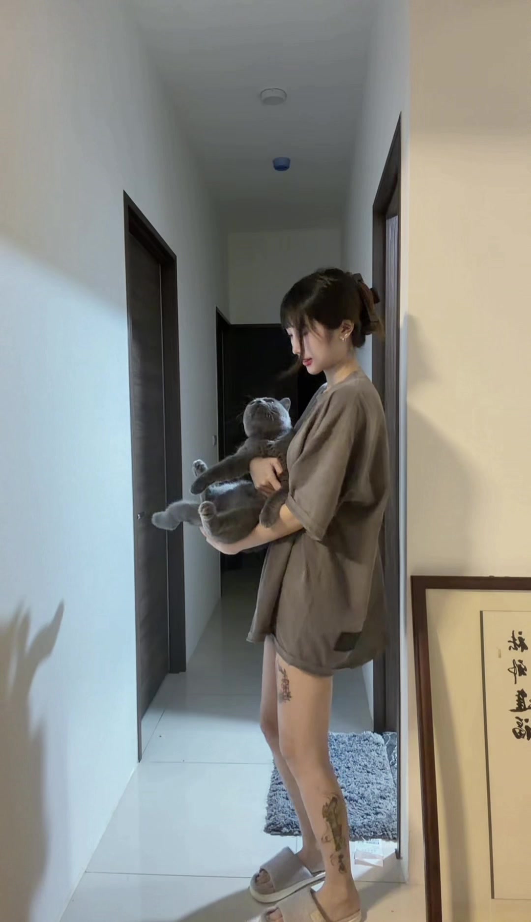 貓咪炮彈 縮圖