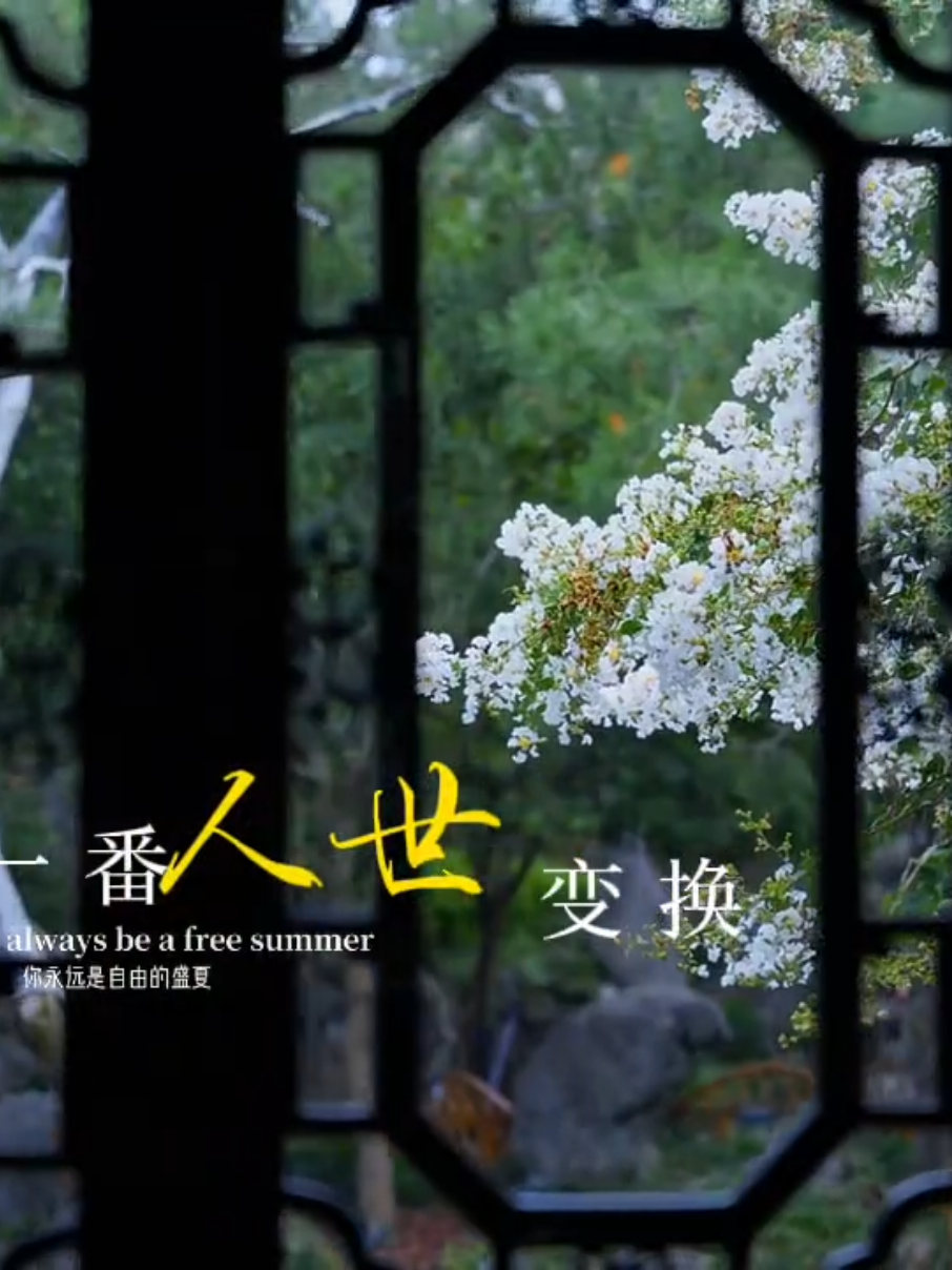#俩俩相忘  #冷雾🎧  #冷雾_music  #fyp音乐热歌2026 縮圖