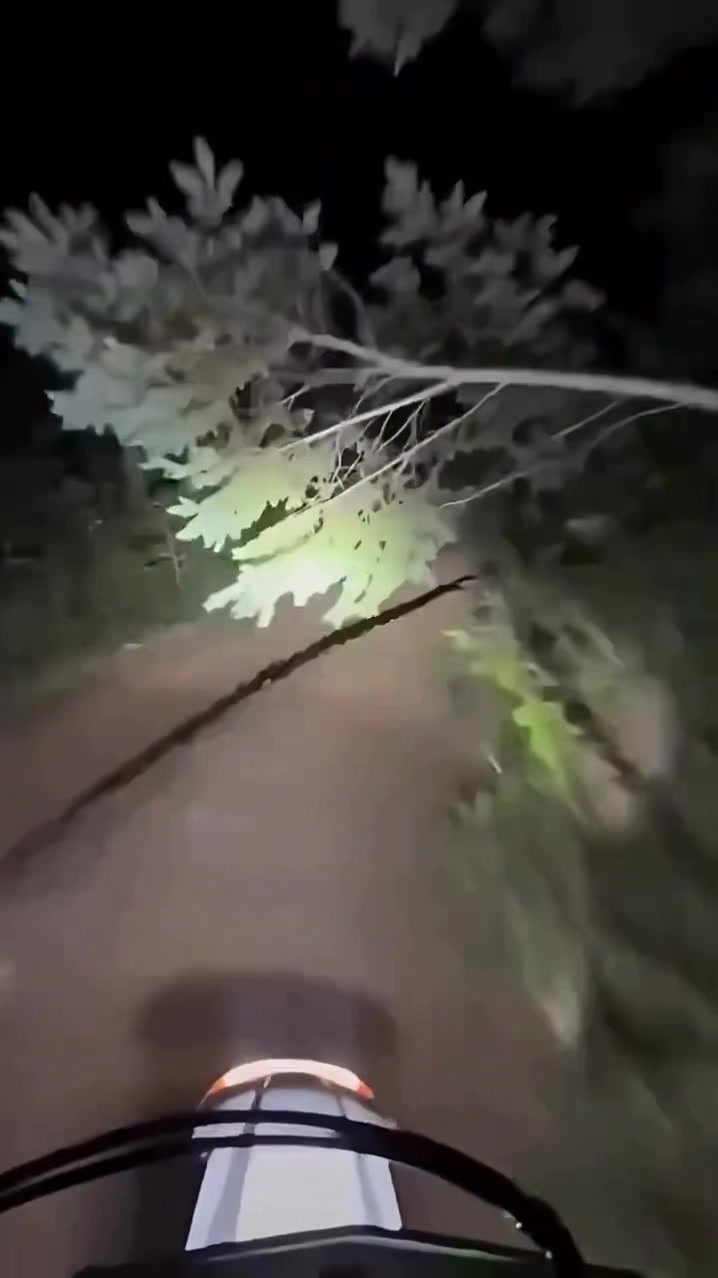 我不想跳！但是獵槍讓我跳！#😂😂😂😂#熊 #跳舞 #AI #搞笑 縮圖
