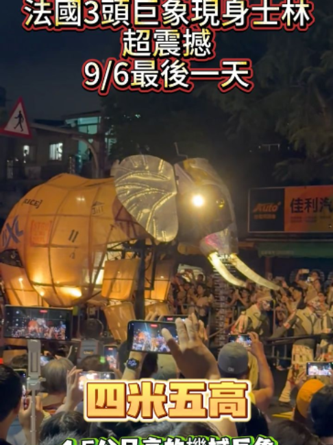 9/6最後一場快衝!台北士林最狂免費大秀,法國三隻大象遊行錯過超可惜!黃導帶你先睹為快! #台北藝術 #大象來了 #奧波西托劇團 #機械大象#巨型大象#法國大象 #黃導爆爆 #留言告訴我 縮圖