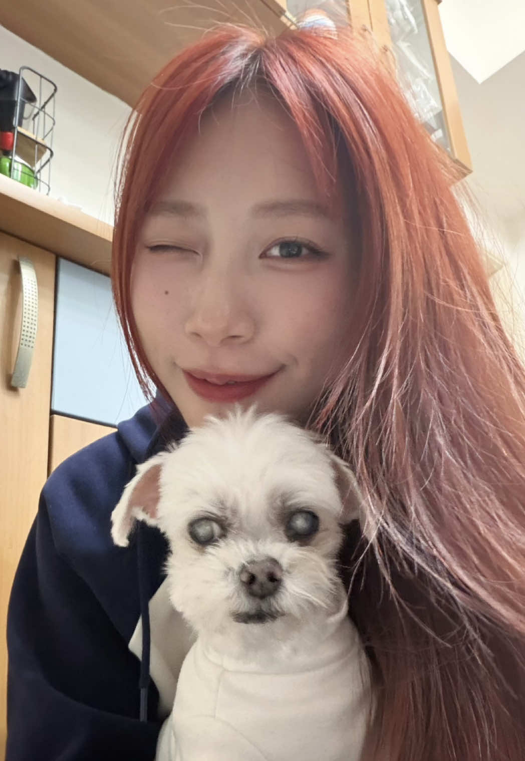 我有一隻狗🐶 牠很調皮、也不太聽話 但總是默默陪著我 長大搬到台北之後 才發現最想念的 其實是這種很安心的陪伴🤍 現在想家的時候 我都會打開POCKET TWIN口袋可可雙子物語 在裡面可以裝扮我的可可人 還可以去好友家中澆花、拍照 就好像有人在陪我一樣🫶🏻 我的遊戲序號是nmx8m24c 快去下載 來我的小屋打卡吧❣️ #口袋可可雙子物語 #PocketTwin #可可人 #養成遊戲 縮圖