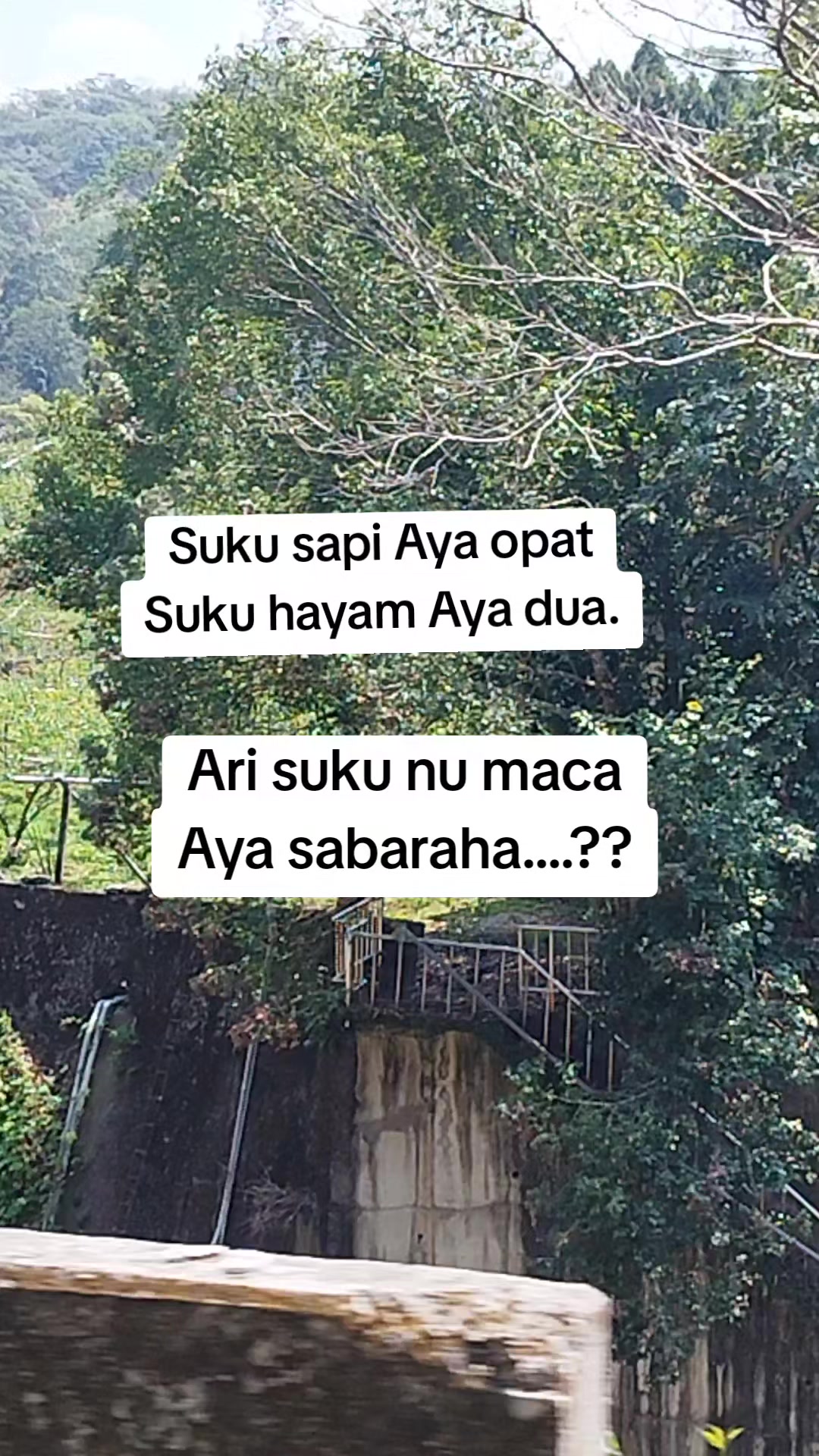 #fyp 縮圖