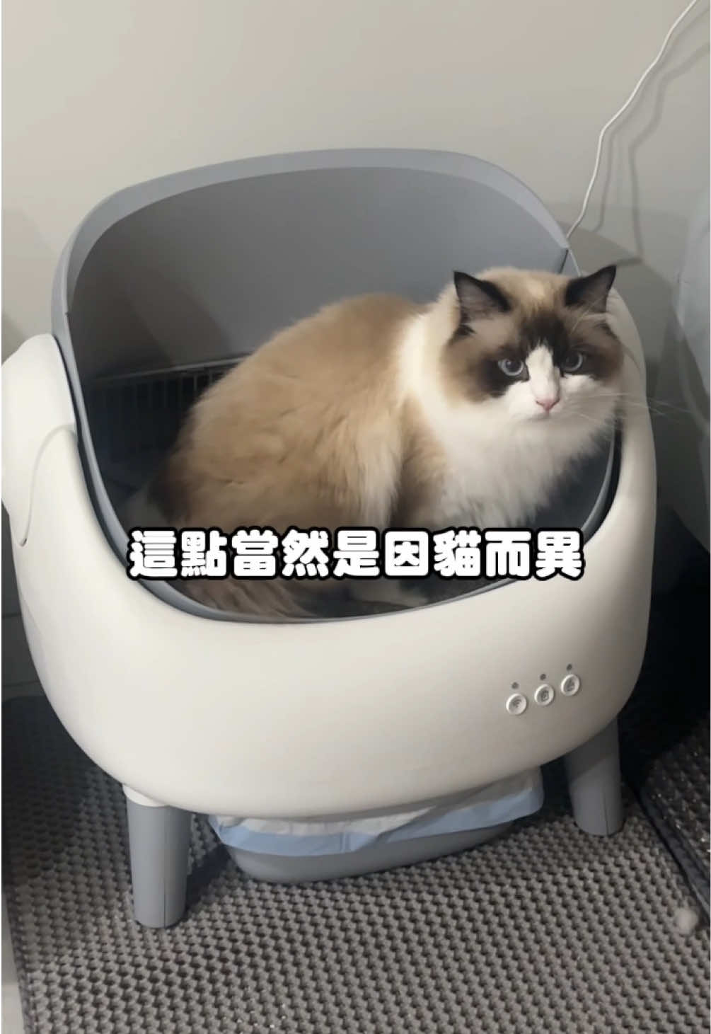 五千多一台的貓砂機.....試了之後改觀了！ 本來以為又是妥妥的智商稅🤣 結果CP超高！ https://me-cat.tw/rzxhk 以前覺得總會擔心自動貓砂機很多問題 用了才發現， 最大的改變只有 —— 方便、乾淨🌿 而且也很安全！ 跟大家介紹新發現！ 這台覓喵M1開放式智能貓砂機完全知道貓砂機的精髓在哪✨ 🔹開放式空間、0卡貓結構 貓咪可以自由轉身 不會卡卡的 🔹APP遠端管理，掌握貓咪上廁所狀況 除了可以記錄貓咪上廁所的時間之外 還可以自己設定清潔時間！ CP值這麼高的貓砂機真的可以考慮一下！ https://me-cat.tw/rzxhk 剩下的都在影片裡啦 還有什麼疑慮留言問我🥰 #智能貓砂機 #貓咪 #貓咪日常 #覓喵M1 #開放式貓砂機 縮圖
