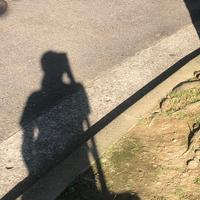 Lu西 TikTok 創作者頭像